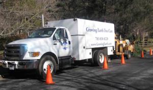 Growing Earth Tree Care