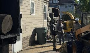 Innovation Tree Services