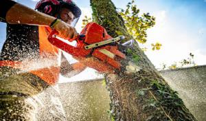 RMG Tree Service