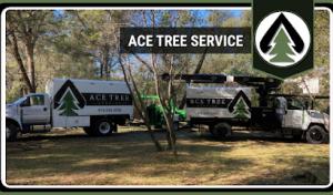Childress Septic & Design