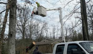 Performance Tree Service