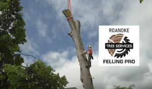 Roanoke Felling Pro