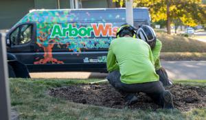 ArborWise Tree Management