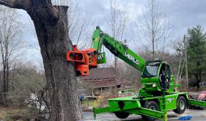 Arborcare Tree Service