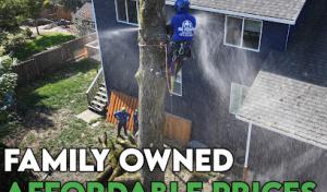 NW Premier Tree Services
