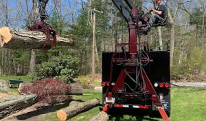 Top Notch Tree Services
