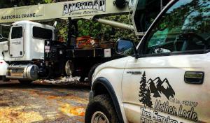 Mother Lode Tree Service .