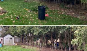 Top Down Tree Service