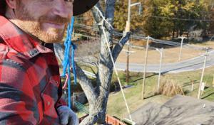 Randall's Tree Service