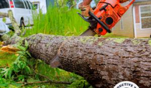 TimberWorx Tree Service