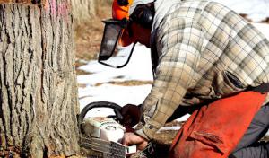 ArborCare | Horticultural Services