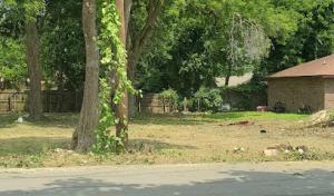 Fernando’s tree service