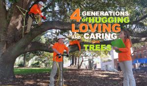 ArborMax Tree Service