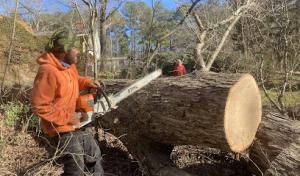 My Tree Guy of Franklinton N.C.