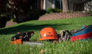 Craig's Tree Service