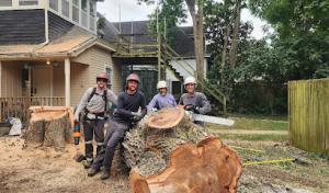 Sure Notch Tree Service