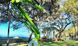 Vincent's Tree Service