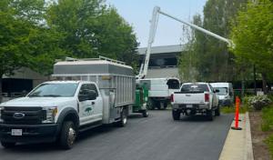 La Sirenita Tree Service