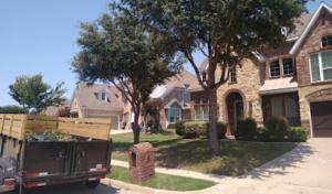 Affordable Tree Service