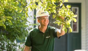 The Davey Tree Expert Company