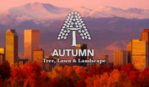Autumn Tree, Lawn & Landscape