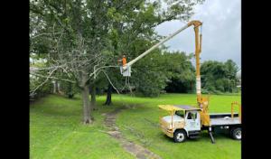Valley Tree & Landscape Service