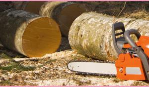 Charlotte Septic Pros