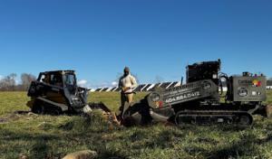 Grind Kings Tree Specialist