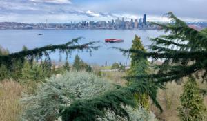 Mon Ami Arborist Services