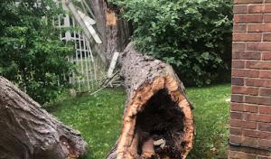 JRE Arborist & Tree Services