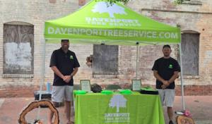 Davenport Tree Service