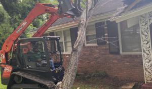 Douglas County Tree Service