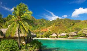 Starfarms Conservation