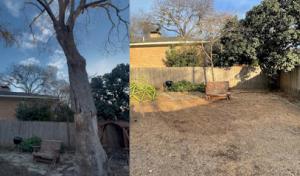 Platinum Tree Service