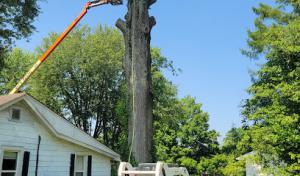 49&rsquo;er Septic Service