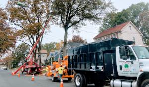 Giron's Tree Service