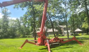 Dave's Tree & Stump Removal