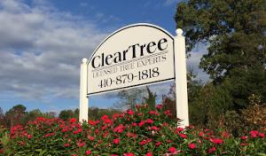 ClearTree