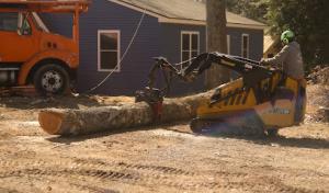 Crickets Tree Service