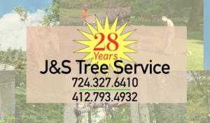 Foothills Septic & Inspection Services