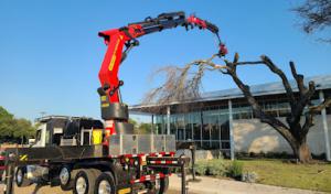 Texas Tree Transformations Irving