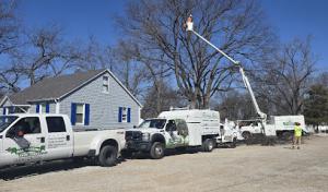 All Around Tree Care Services