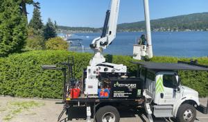 Earthworks Tree Service