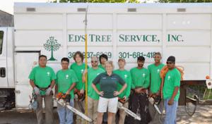 Ed's Tree Service