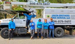 Union Brothers Tree Service
