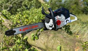 Remedy Tree Removal Service