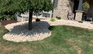 Stearns Septic Service