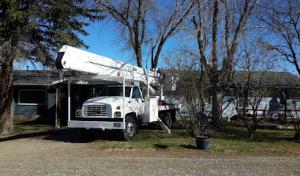 Frontier Tree & Pest Control