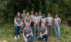 All Natural Tree Experts