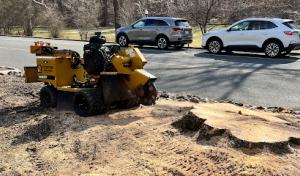 Fieldstone Stump Grinding
